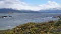 0723-dag-30-080-Terra del Fuego Ushuaia Beagle Canal